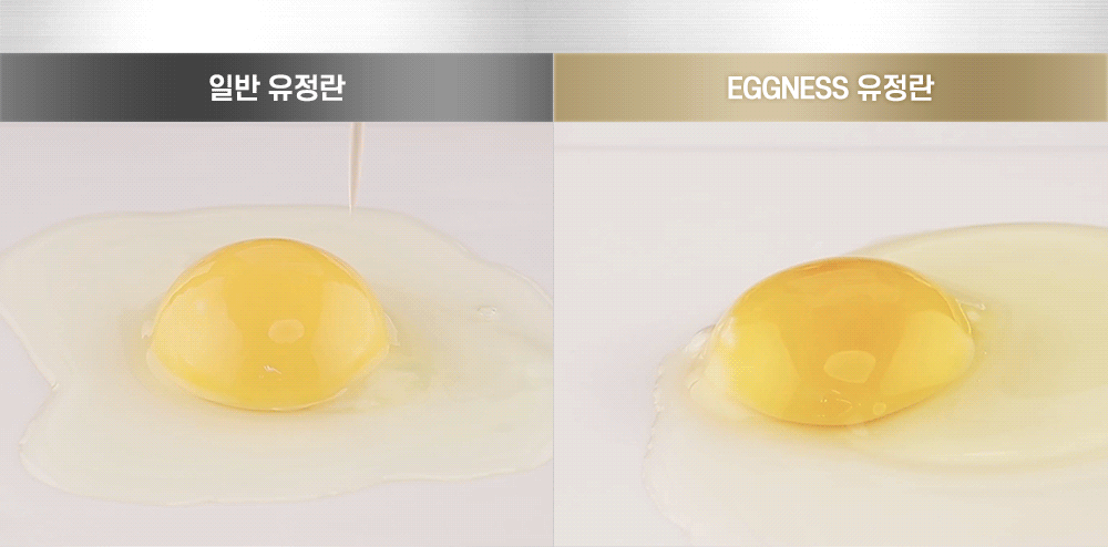 상세페이지제작 NO.1 이미지톡 ∥ 에그니스-계란 네오맥스-달걀